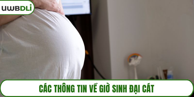 Các thông tin về giờ sinh đại cát
