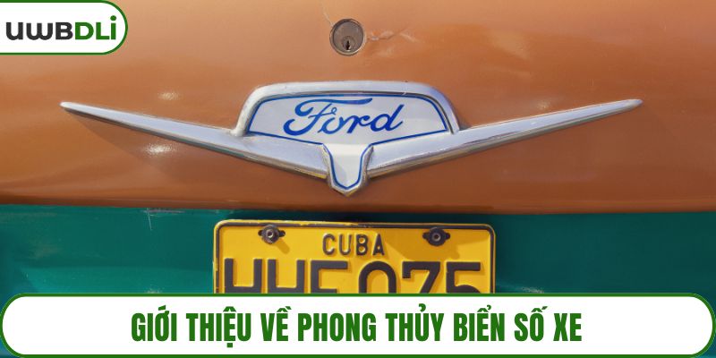 Giới thiệu về phong thủy biển số xe