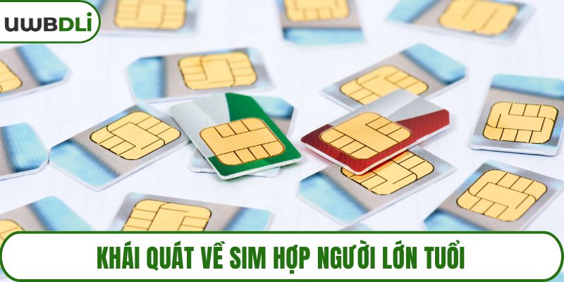 Khái quát về sim hợp người lớn tuổi