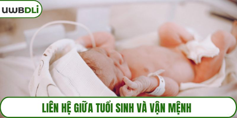Liên hệ giữa tuổi sinh và vận mệnh 