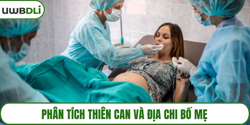 Phân tích thiên can và địa chi bố mẹ