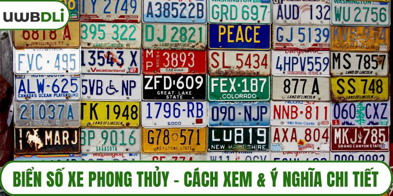 Phong thủy biển số xe