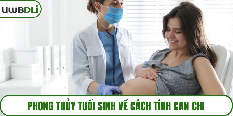 Phong thủy tuổi sinh về cách tính can chi