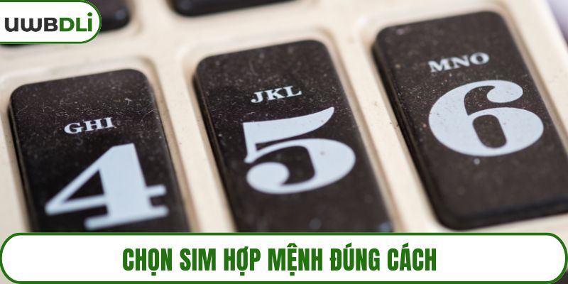 Sim hợp mệnh