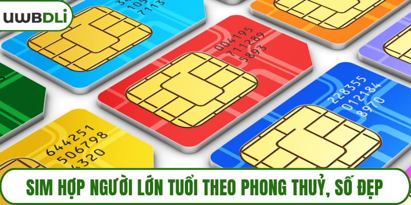 Sim hợp người lớn tuổi theo phong thuỷ, số đẹp