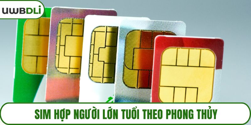 Sim hợp nguời lớn tuổi