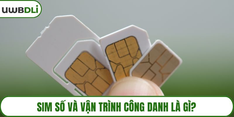 Sim số và vận trình công danh là gì?