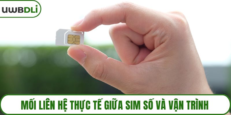 Sim Số Và Vận Trình Công Danh