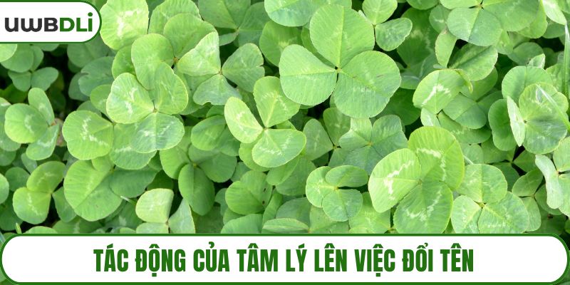 Tác động của tâm lý lên việc đổi tên