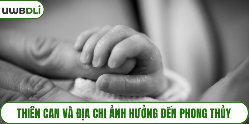 Thiên can và địa chi ảnh hưởng đến phong thủy