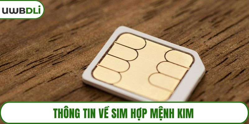 Thông tin về sim hợp mệnh