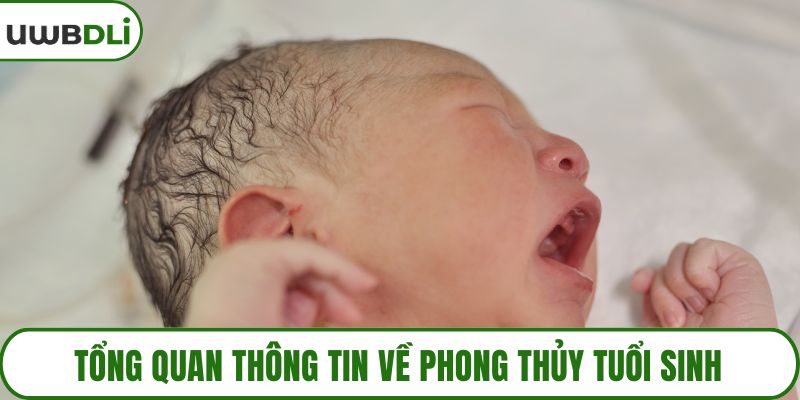 Tổng quan thông tin về phong thủy tuổi sinh