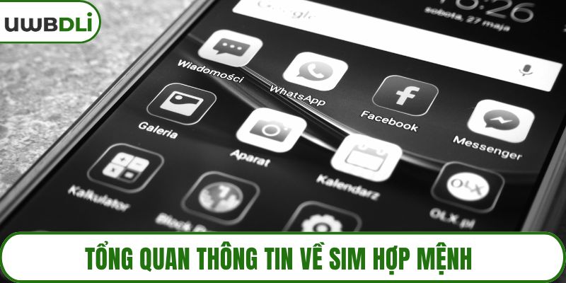Tổng quan thông tin về sim hợp mệnh
