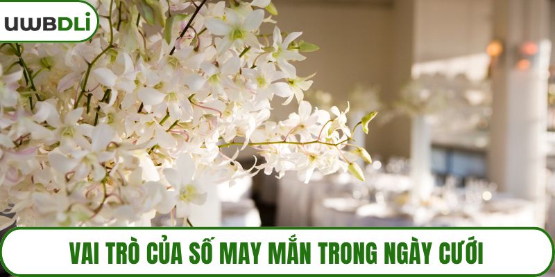 Vai trò của số may mắn trong ngày cưới