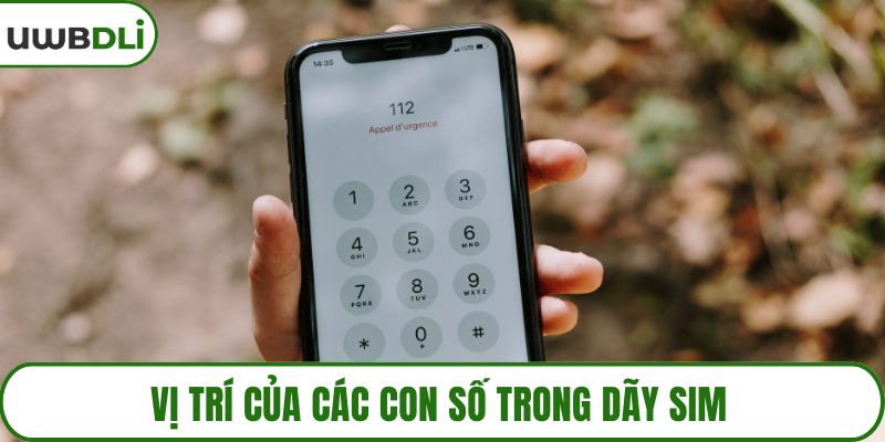 Vị trí của các con số trong dãy sim